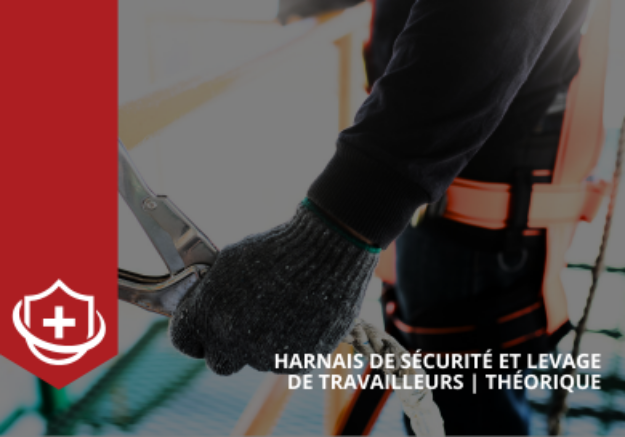 Image de Harnais de sécurité et levage de travailleurs - Théorique